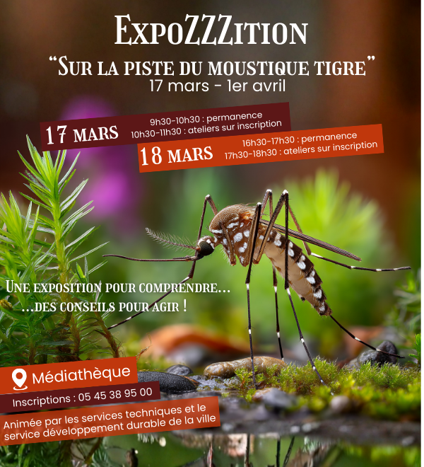 ExpoZZZition moustiques tigres